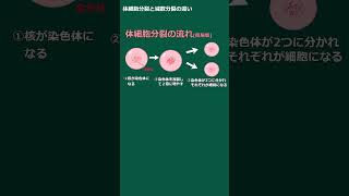 ゆっくり解説中学理科 細胞分裂の流れと種類 体細胞分裂 減数分裂 染色体 生殖細胞 [upl. by Kirt722]