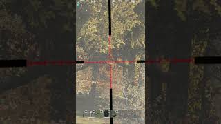 Dayz Rearmed EU Main Lucky Kill [upl. by Lyda664]