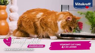 Vitakraft Cat Yums  4x zo lekker [upl. by Cathrine]