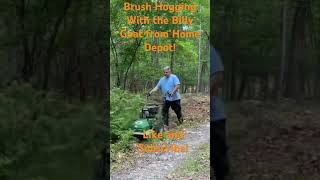 Brush Hogging with the Billy Goat from Home Depot [upl. by Marih]