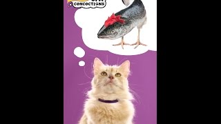 Cat Concoctions® Wet Cat Food  Friskies® Commercial 15 [upl. by Longerich]