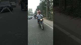 pigeon flying on road🕊️🥰publicreaction viralvideo kabutar mrpreet [upl. by Idnym]