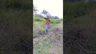 Farmers life farmers farmerlife villegevlog content [upl. by Dragde]