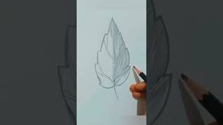 Marigold leaf drawing leafarteasyshorts [upl. by Jedthus827]