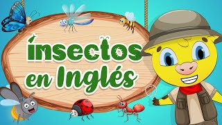 Insectos en Inglés  Aprender Inglés  Inglés Para Niños [upl. by Rosner935]