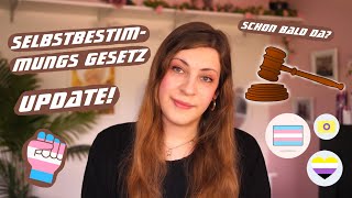 Selbstbestimmungsgesetz bald da❓Mein Update 🏳️‍⚧️ [upl. by Monsour]