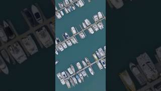 Airlie Beach airliebeach travel adventure trendingshorts viralshorts fyp drone [upl. by Blas]