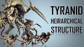 13 Ranks in a Tyranid Hierarchy Warhammer 40K [upl. by Sollars]