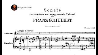 Franz Schubert  Arpeggione Sonata D821 1824 Bijlsma [upl. by Avevoneg]