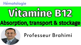 Vitamine B12 Absorption transport et stockage [upl. by Katt]