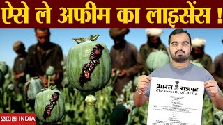 Afeem farming Licence  Opium poppy farming  Afeem ki kheti  Rules for afeem farming  opium law [upl. by Pascha]