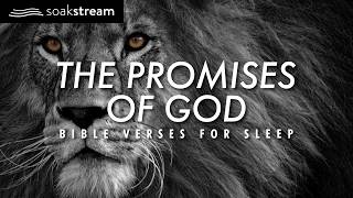 Experience MIRACULOUS Sleep with 100 POWERFUL Bible Verses [upl. by Demah]