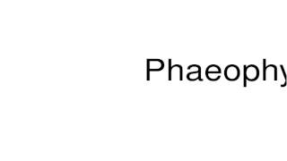 How to pronounce Phaeophyta [upl. by Hellene]