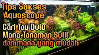 Belajar Aquascape  Mengenal Tanaman Stem dari yang Tersulit Hingga Yang Paling Gampang Part 1 [upl. by Yerffoj856]