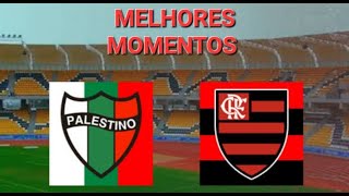 palestino bate o flamengo por 1 a 0 e assume o segundo lugar [upl. by Aissela]