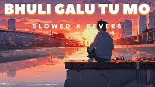 Bhuli Galu tu Mo manare tike Odia SlowReverb Lofi Song l Human Sagar l odialofisong [upl. by Sanchez]