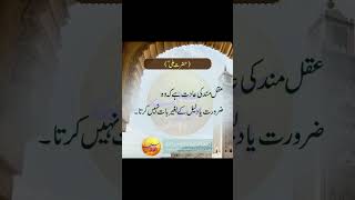 hazrat Ali quotes اقوال زرین quotes [upl. by Llerot]