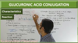 GLUCURONIC ACID CONJUGATION Phase II reaction of Metabolism Biotransformation of Drugs [upl. by Hyacinthe]