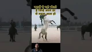 bhai ka टैलेंट horse ke sat rambaghelmpvlog horse [upl. by Eniak389]