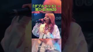 茉ひるRINZO「ダブルベッド」音乐分享 日语歌 Music MusicSharing live pop 音乐现场 livestream [upl. by Joacimah446]