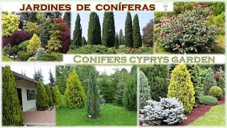 Jardines de coniferas 🌲🌲🌲 [upl. by Lemaj781]