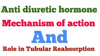 Anti diuretic hormoneADH Mechanism of action  Role in water Reabsorption  Diabetes insipidus [upl. by Lainey]