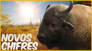 MUDANÇA NO BISÃO CAÇADA EM YUKON VALLEY  THE HUNTER CALL OF THE WILD GAMEPLAY [upl. by Olrac]