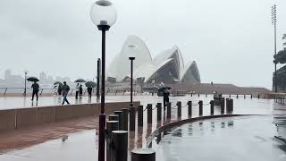 Sydney Opera House tour check in counter [upl. by Sigismondo]