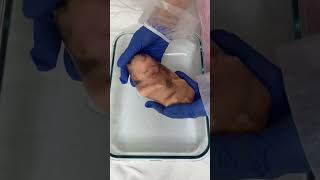 baby birth with placenta fullbodysilicone reborn newborn siliconedoll preemie premature [upl. by Stillas]