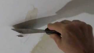 How to Repair a Water Damaged Plaster Ceiling [upl. by Atiekal758]