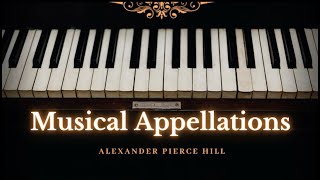 Musical Appellation No 1  APH Composition [upl. by Neladgam]