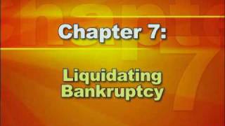 Bankruptcy Basics  Part 2 Types of Bankruptcy [upl. by Irep785]