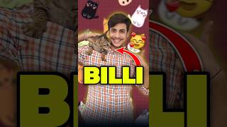 Billi Ka Baccha Aa Gaya 😨😨  Mini Vlog shorts minivlog ashortaday vlog tranding cat [upl. by Asserrac264]