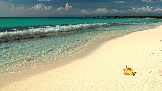 Relaxing Music with Gentle Ocean Sounds Soothing Waves and Peaceful Music [upl. by Celik408]