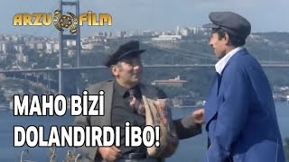 Maho Bizi Dolandırdı İbo  Banker Bilo [upl. by Ellenej868]