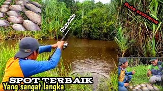 REKOR BARU Serasa Seperti Pemancing Paling Beruntung Mancing Ikan di Sini  Panen Gurame [upl. by Rosena404]