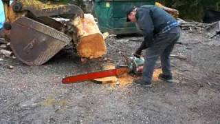 1951 DISSTON DA 211 TWIN CYLINDER chainsaw test cut [upl. by Dylan337]