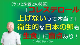 T119：「コレステロール上げないって本当？」衛生的な日本の卵も「生食」に盲点あり！ [upl. by Toomay938]