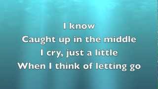 I Cry  Flo Rida Lyrics [upl. by Sharla904]