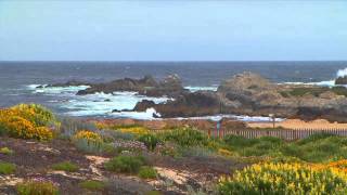 Northern California Golf Destinations [upl. by Nerraj]