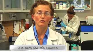 Estudios Sobre Candida glabrata [upl. by Touber]