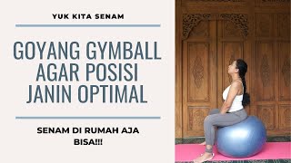 SENAM HAMIL DENGAN GYMBALLBIRTHBALL [upl. by Ahsienar]