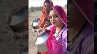 पानीड़ो बरसादे म्हारा राम रे superhit marvadi rajasthani desi whatsapp status video [upl. by Garges161]