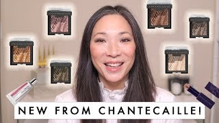 CHANTECAILLE  Fall 2019 Collection [upl. by Harbird988]