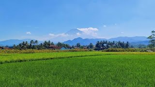 Nusantara Persada Jiwa [upl. by Nerwal]