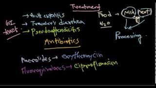 Campylobacter treatment [upl. by Fai869]