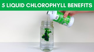 5 Chlorophyll Benefits for Health  Top Liquid Chlorophylls [upl. by Aihsekat]