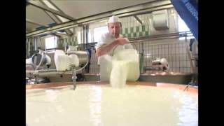 Come si fa il formaggio Asiago Tutte le risposte in questo video [upl. by Cacia]