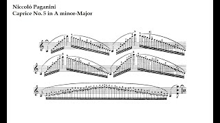 N Paganini Caprice N5 in A minor [upl. by Elene515]