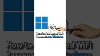 How to Find Saved WiFi Passwords on Windows 11  shorts WiFiTips HomeNetworking windows11 [upl. by Saltsman]